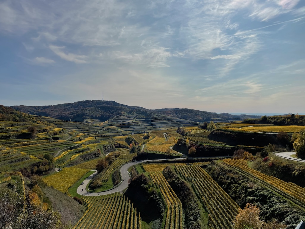 Weinberge im Kaiserstuhl